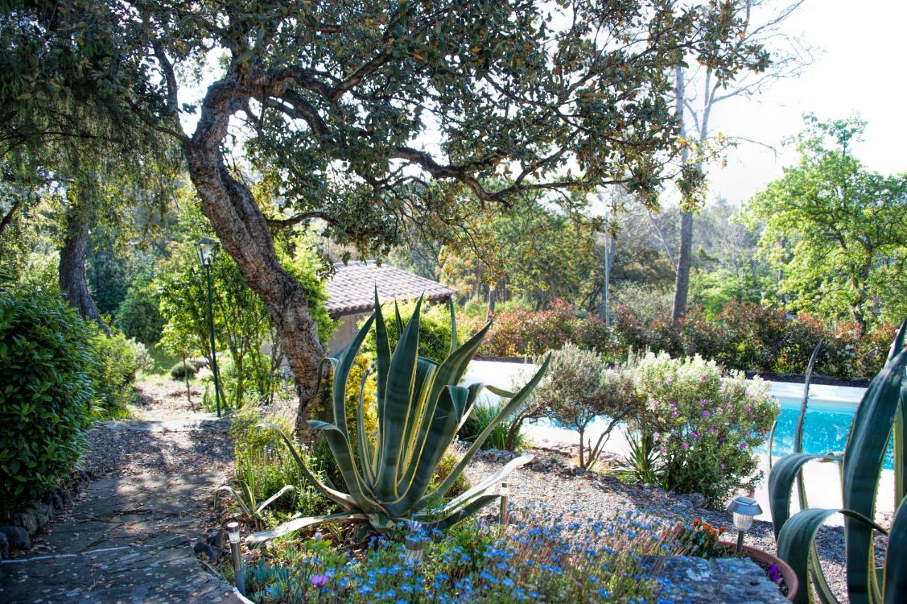 Bed and Breakfast La Garriniere Saint-Raphaël Exteriér fotografie
